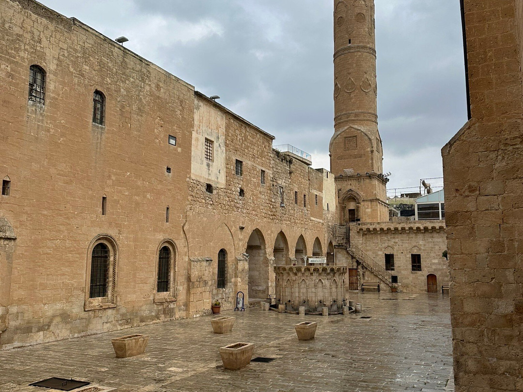 Mardius Tarihi Konak主图