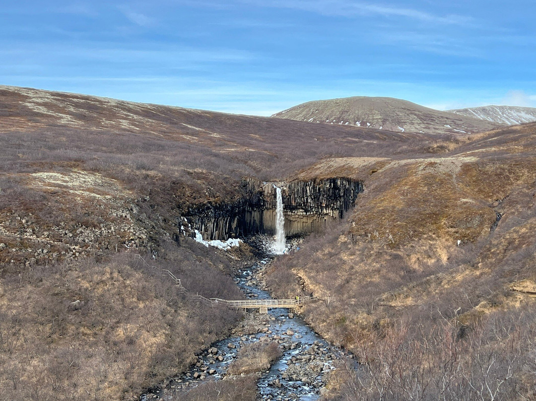 Svartifoss Waterfall景点图片