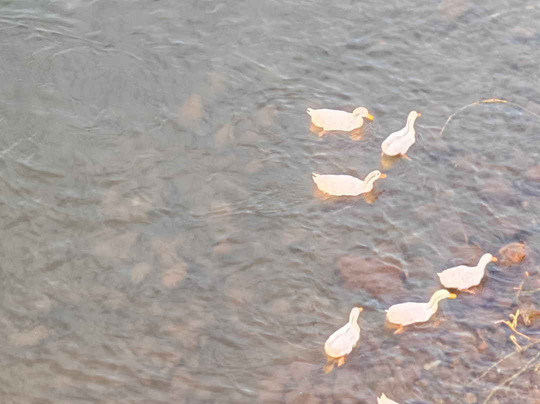 Hotel Villa Bejar and Spa Tequesquitengo主图