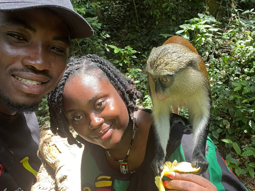 Tafi Atome Monkey Sanctuary And Cultural Village-Tafi Atome必去景点