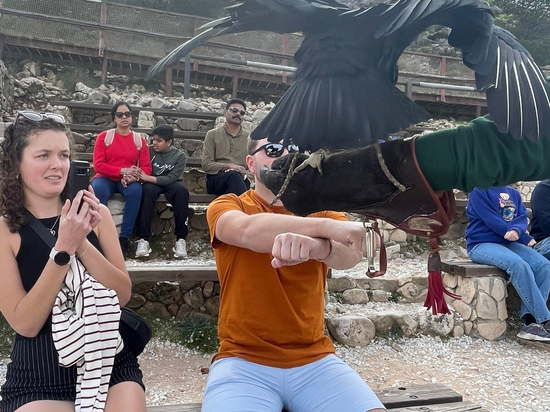 Garden of Eagles (Jardin de Las Aguilas)景点图片
