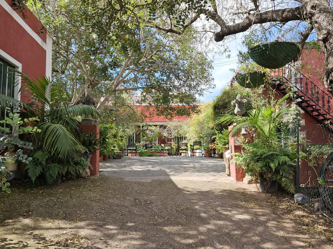Bodega San Juan - Museo del Vino景点图片