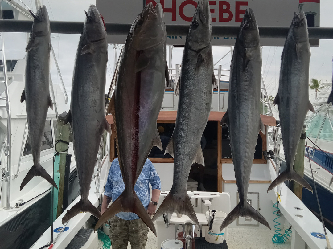 Chelsea Charters - Florida Keys Fishing-伊斯拉摩拉达必去景点