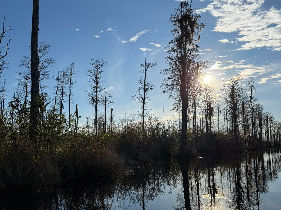 Okefenokee Adventures-Folkston必去景点