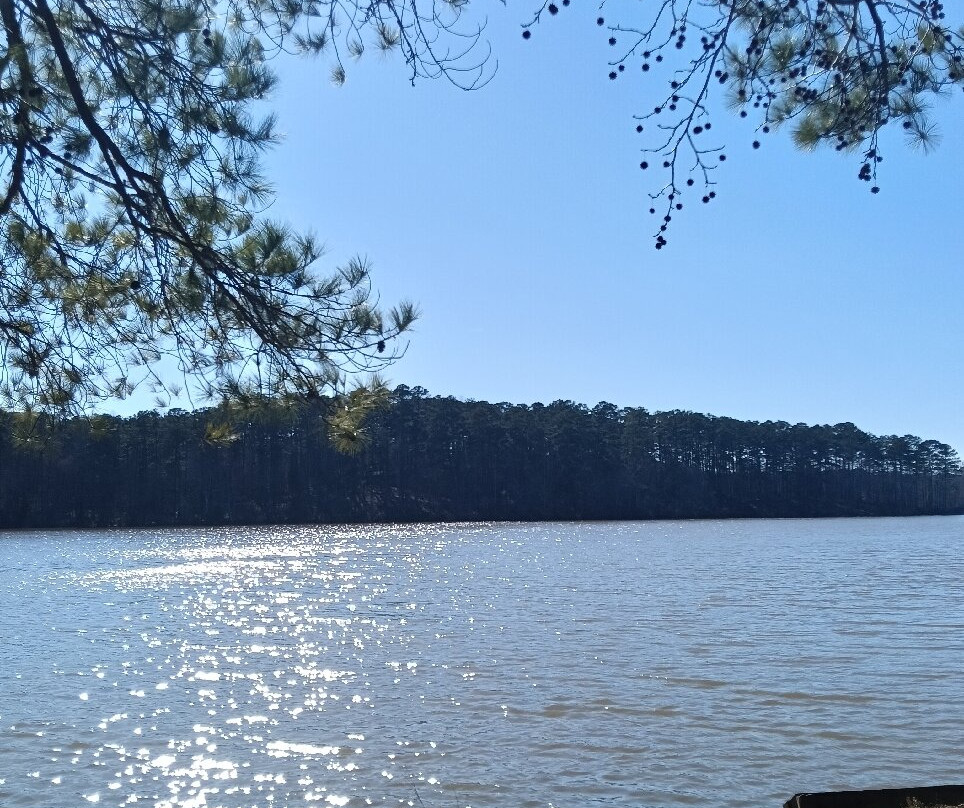 Indian Springs State Park-Flovilla必去景点