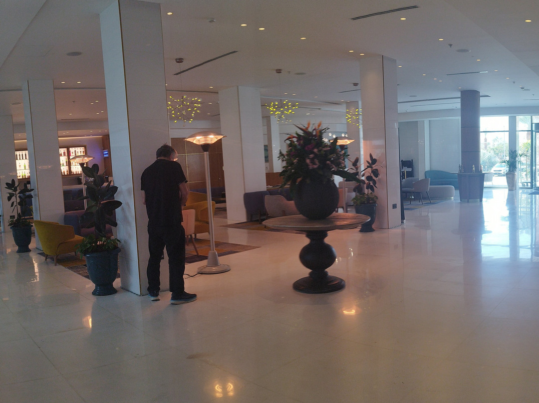 Herbert Samuel Hod Dead Sea Hotel主图