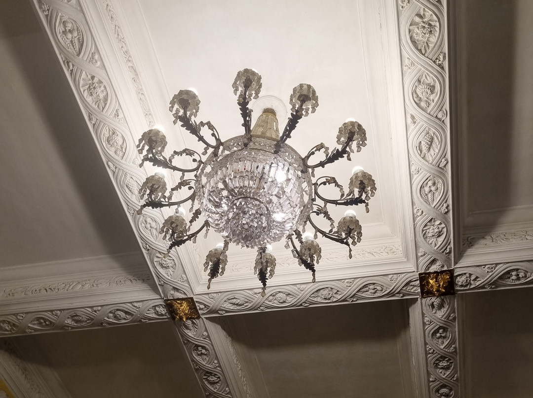 Amar Mahal Palace Museum景点图片