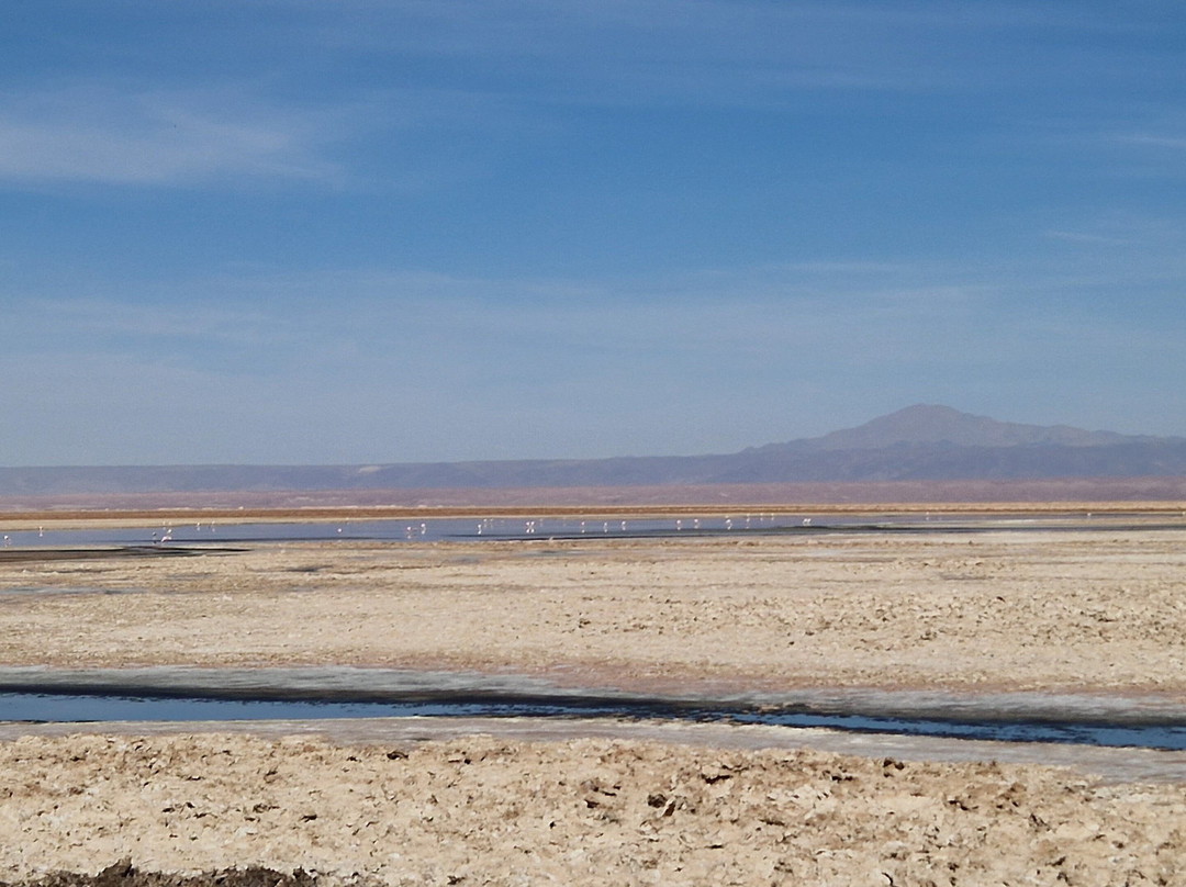 Salar de Atacama-安托法加斯塔必去景点