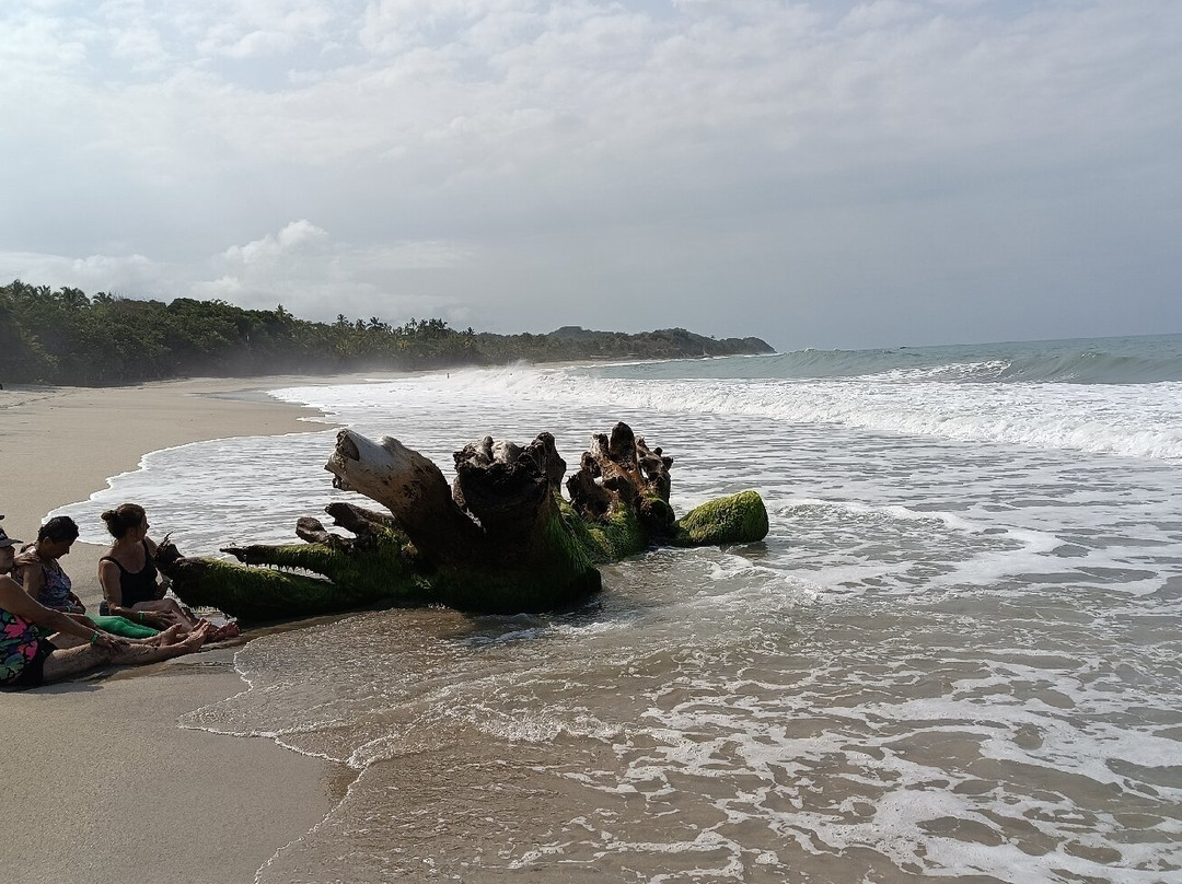 Mendihuaca Caribbean Resort主图