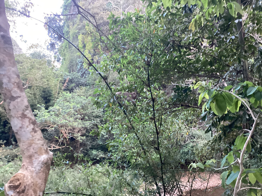 Art's Riverview Lodge主图