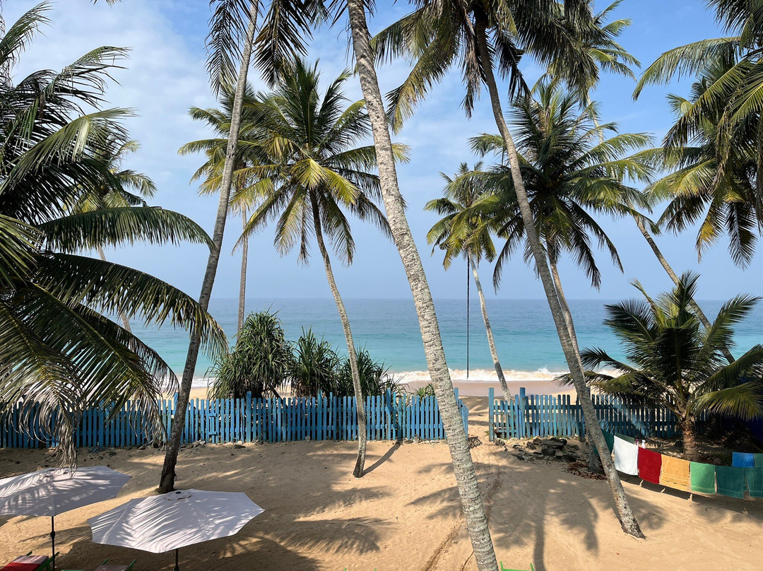 Beach Hotel Oasis Bridge主图