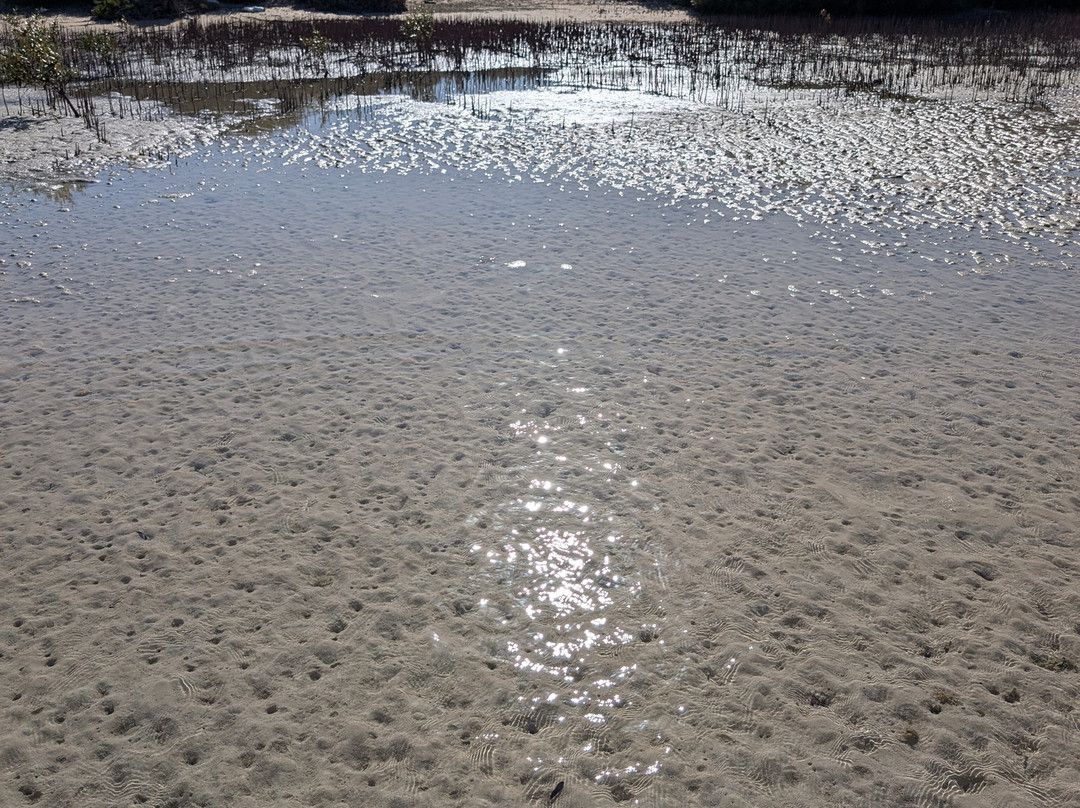 Wadi El Gemal National Park-马萨阿拉姆必去景点