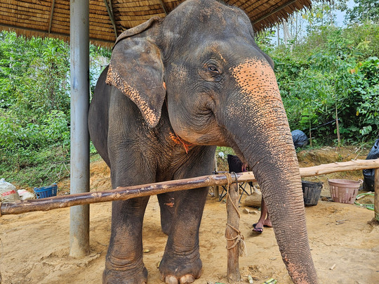 Siam routes-拉克山必去景点