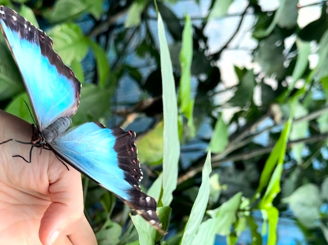 Wildlife Art Tours-托图杰多必去景点