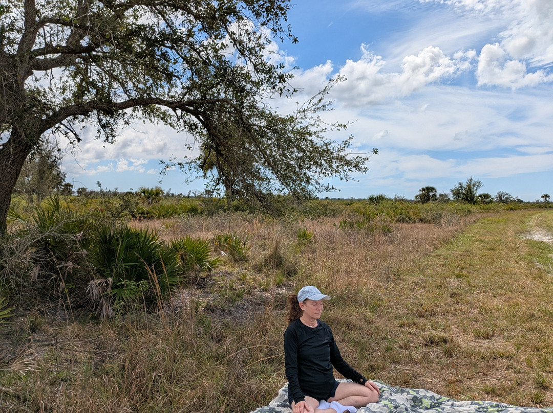 Sarasota Vortex Tours-萨拉索塔必去景点