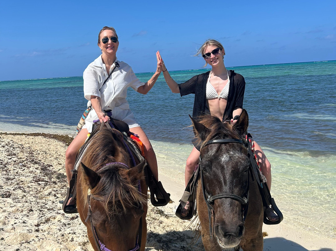 Cayman Horse Riding景点图片