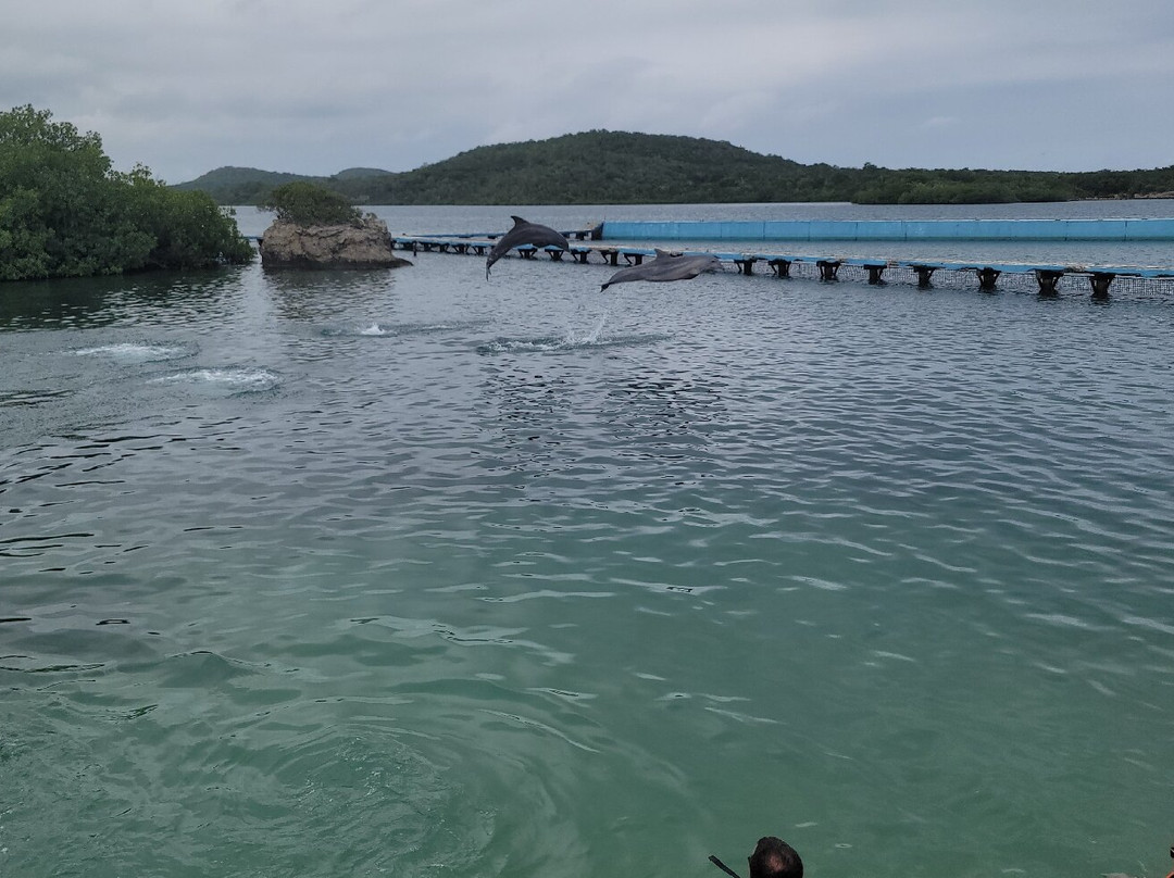 巴伊阿那然朱自然公园-奥尔金必去景点