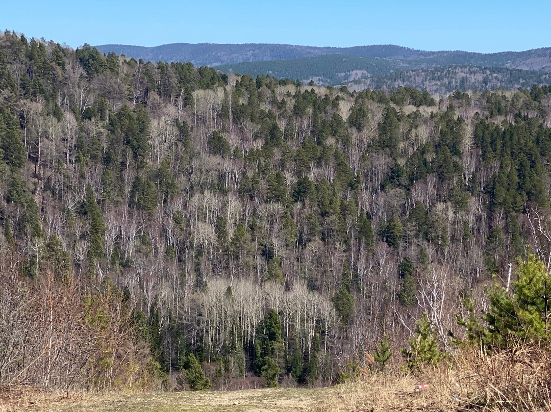 Pribaikalskiy National Park-伊尔库茨克必去景点