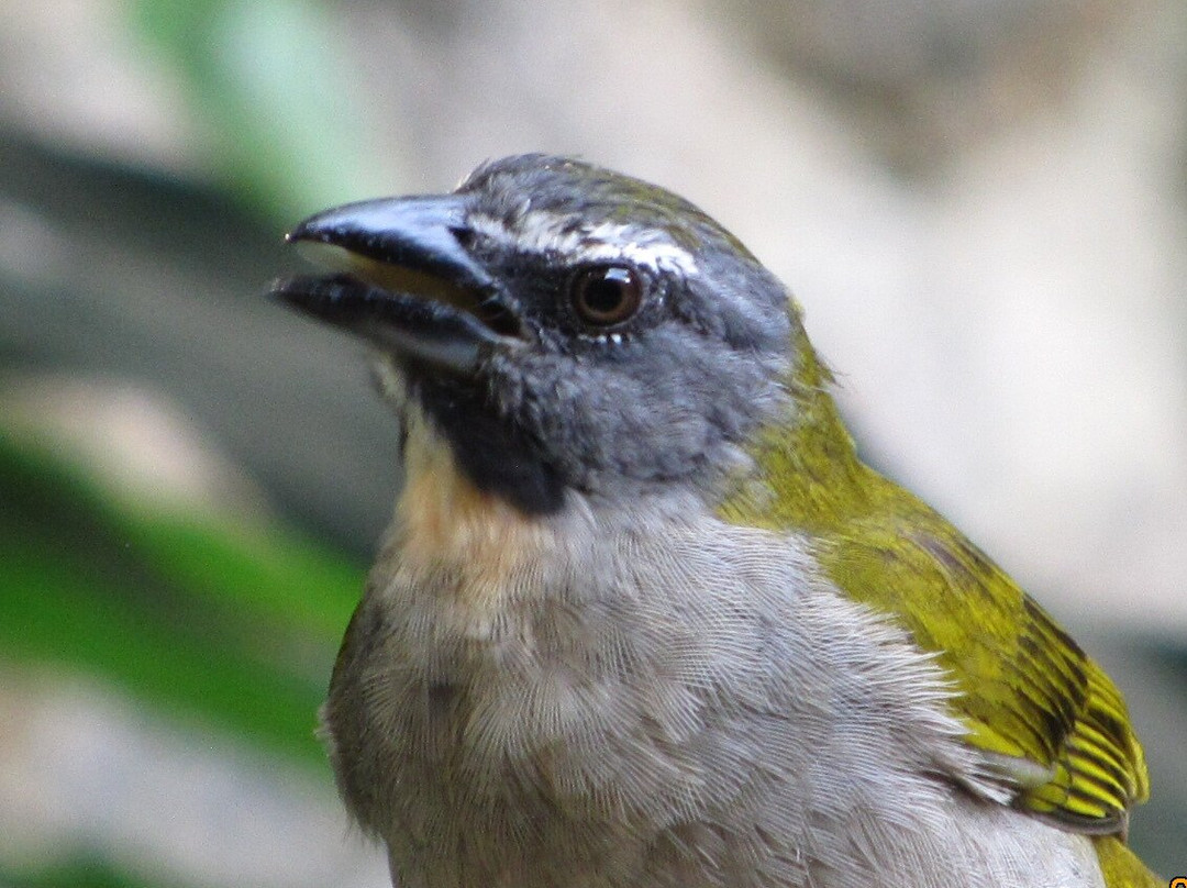 Posada Ecológica Casa María主图