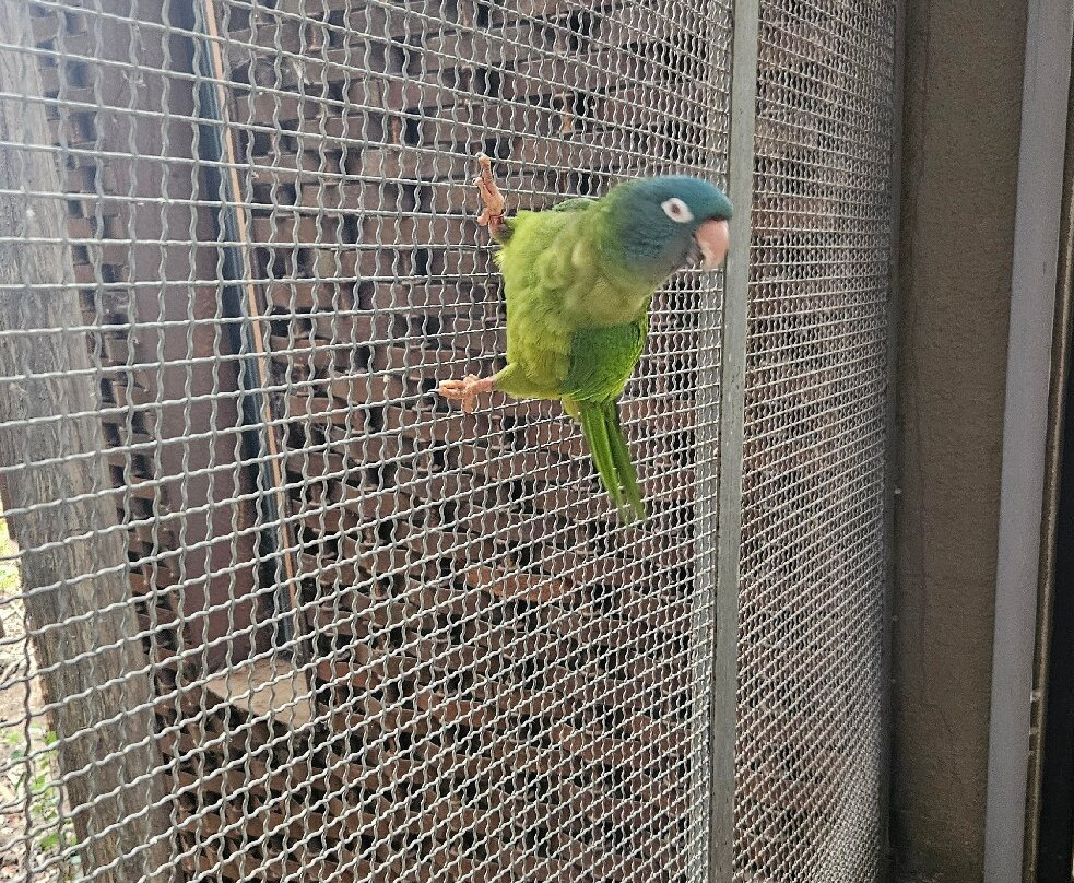 Parque Tricao-Santo Domingo必去景点