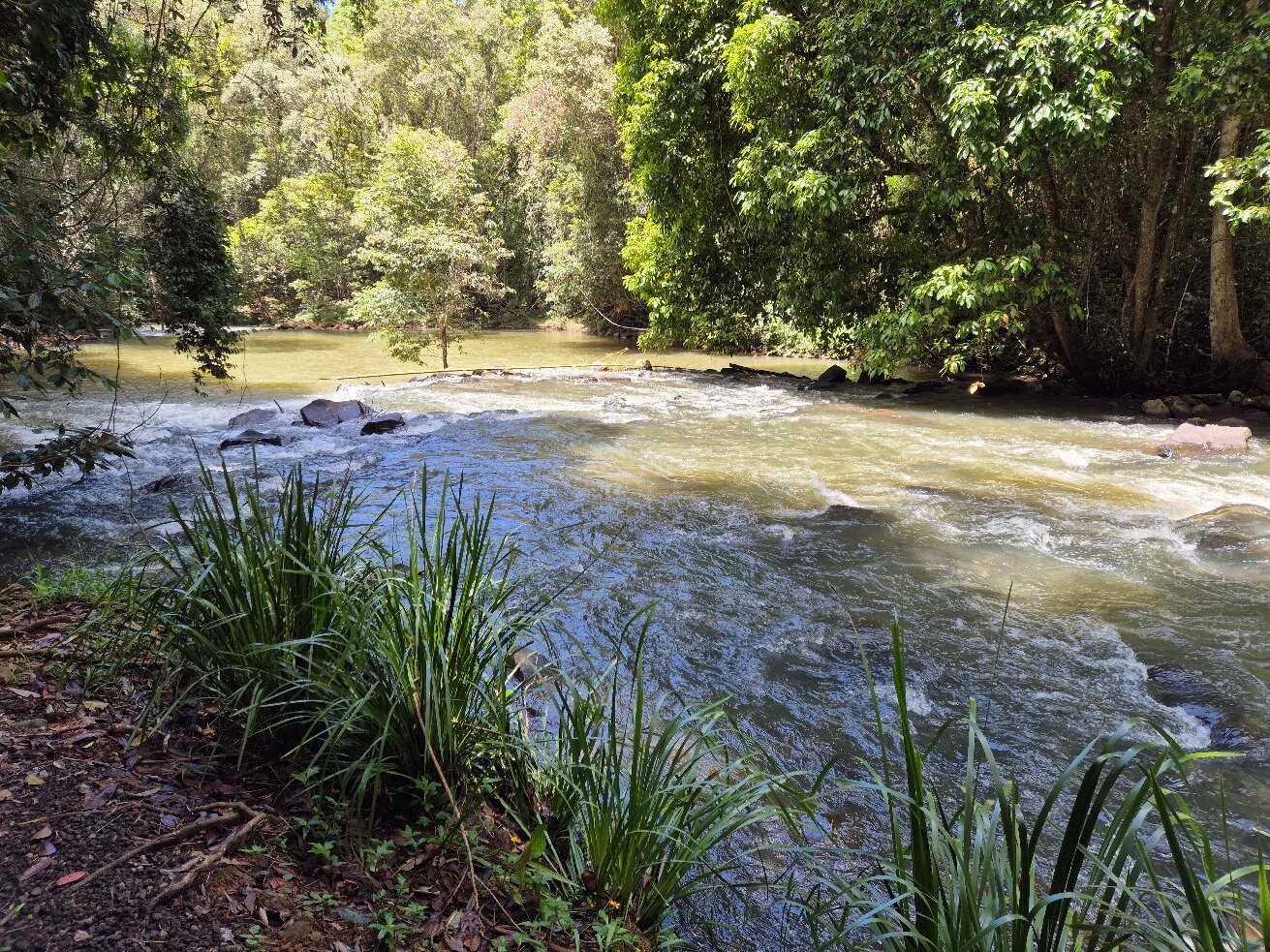 Sharlynn Bed & Breakfast-官方