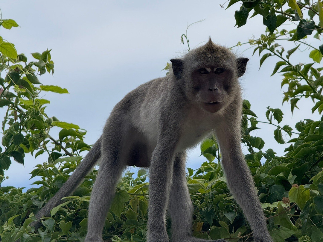 Made Tour Driver Bali-努沙杜瓦必去景点