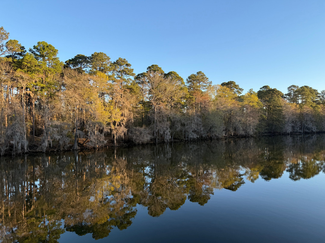 Ole Jigger Caddo Lake Adventures-Karnack必去景点