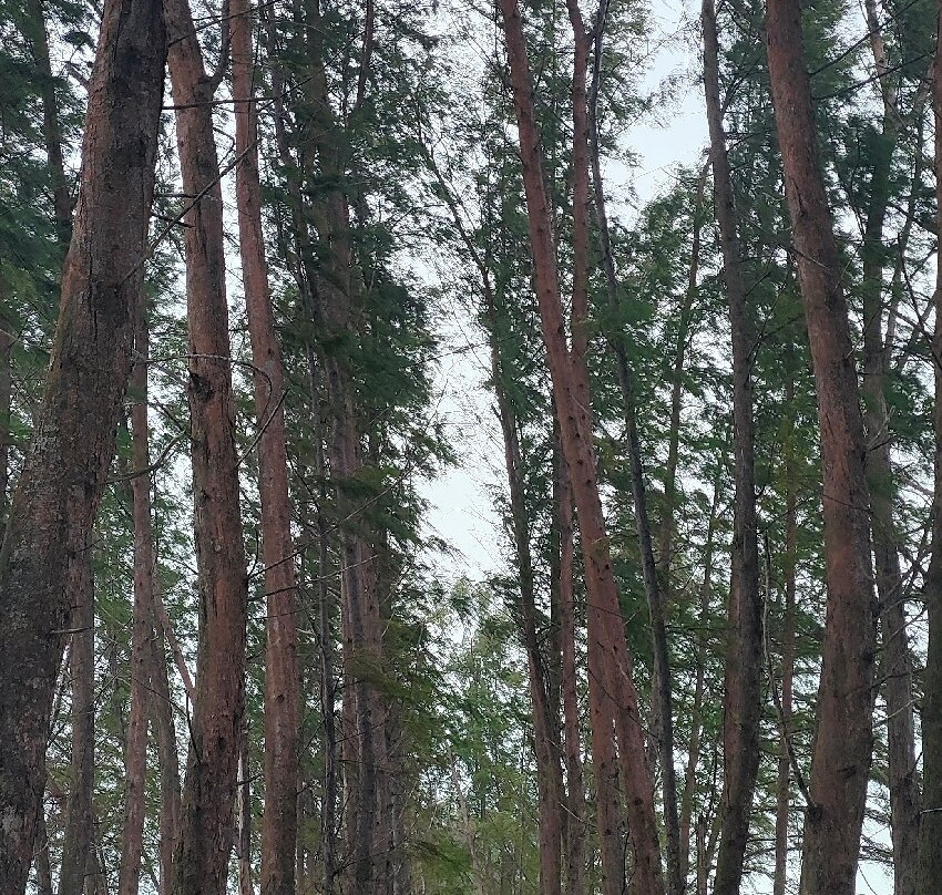 Penunjuk Beach-基惹必去景点