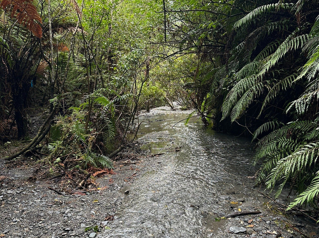 Glacier Valley Eco Tours-西海岸地区必去景点