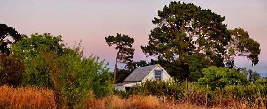 Akrotiri Estate Olive Grove & Accommodation-酒店景观