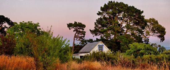 Akrotiri Estate Olive Grove & Accommodation主图