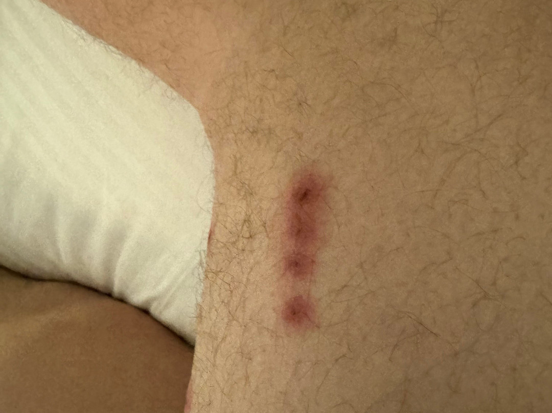 Econo Lodge Inn & Suites Drumheller主图