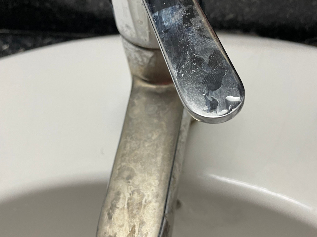 皮皮岛榕树度假别塑主图