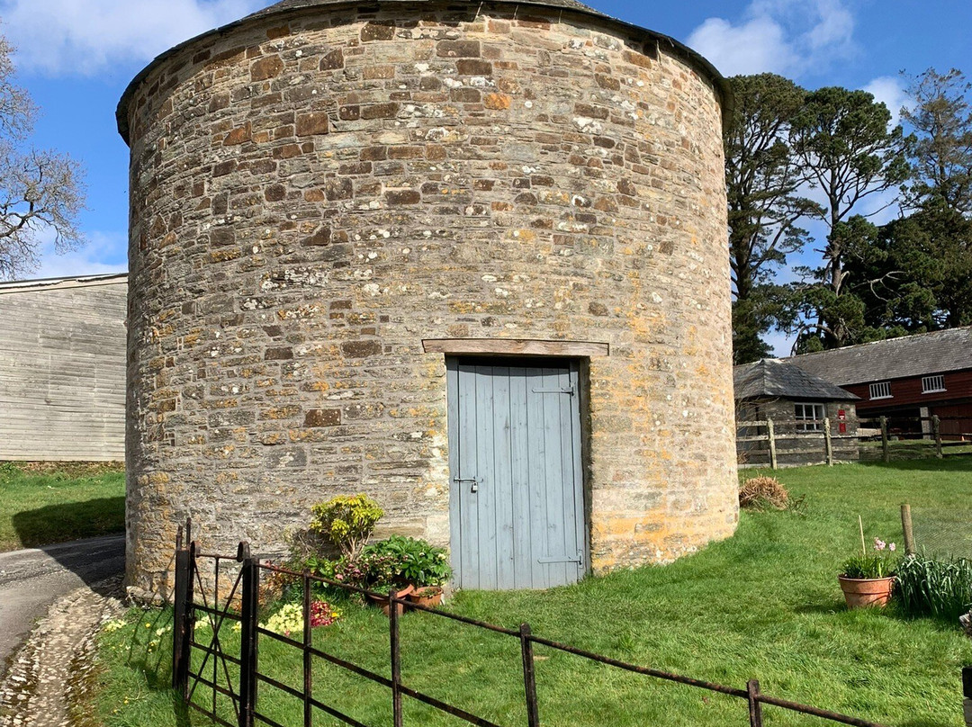 Boconnoc Estate景点图片