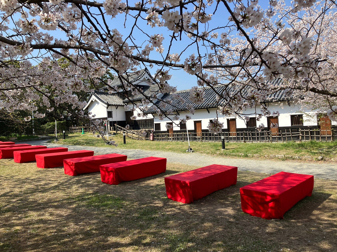 Fukuoka Castle Cherry Blossom Matsuri景点图片