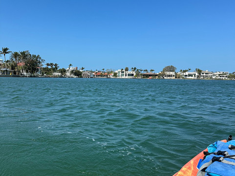 Sea Life Kayak Adventures-萨拉索塔必去景点