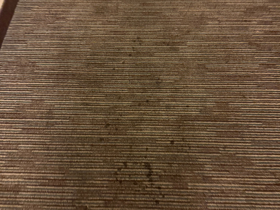 迈阿密机场东凯悦嘉轩酒店主图