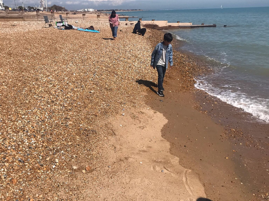 Eastbourne Beach-伊斯特本必去景点