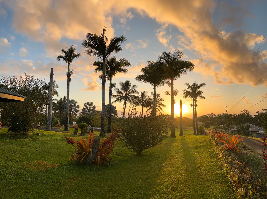 古德岛之家主图