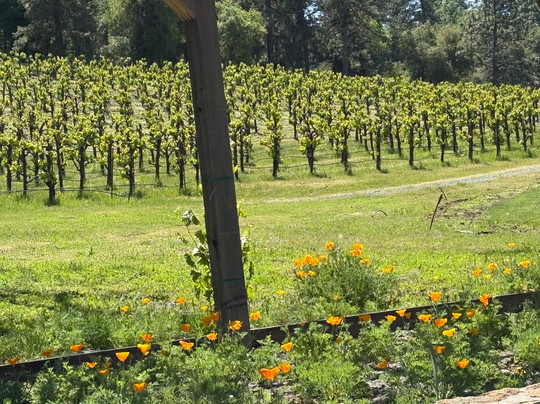 Casino Mine Ranch-Plymouth必去景点