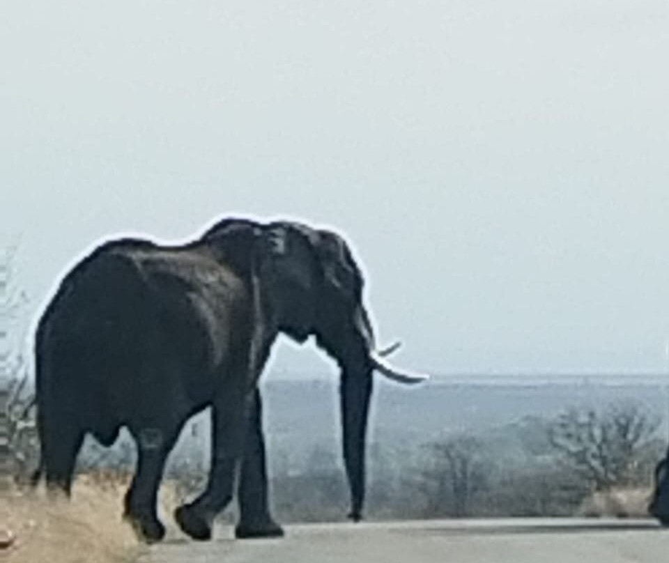 Lulu Safari's-伐拉博瓦必去景点