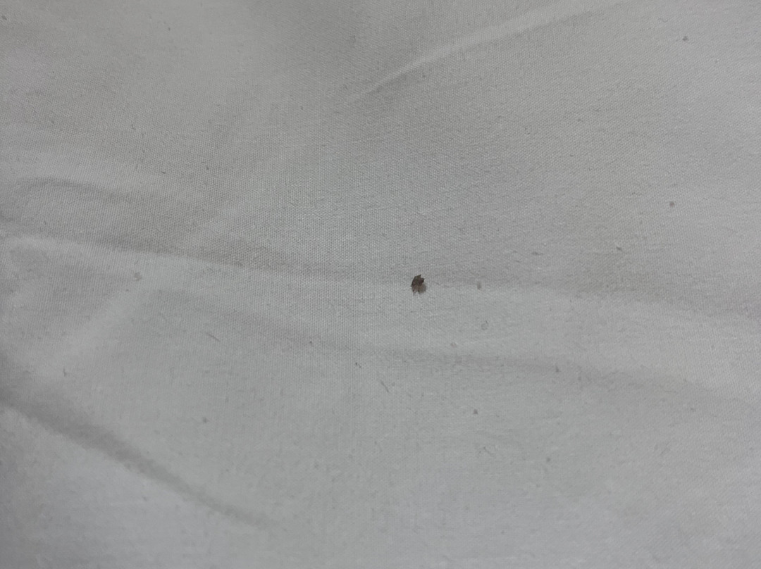 The Convo Athens Riviera主图