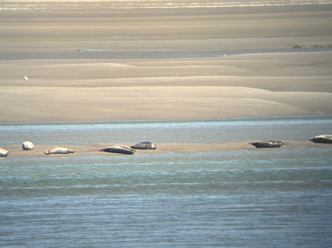 Rando Baie de Somme-Favieres必去景点
