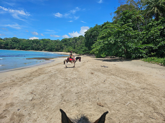 Izzy Rides CR-旧港必去景点