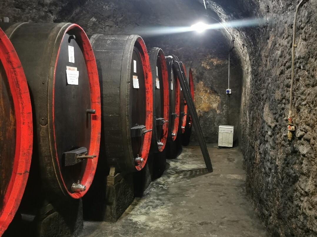 Alberto Marsetti Azienda Agricola-Sondrio必去景点
