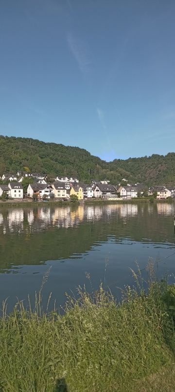Dormero Moselhotel Koblenz-Alken-官方