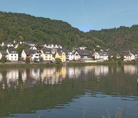 DORMERO Moselhotel Koblenz-Alken主图