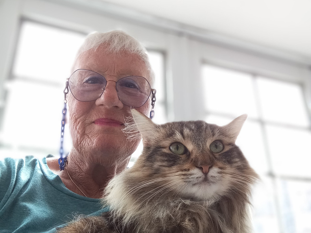 Cat＆Animal Cafe Noah's Ark-京都市必去景点