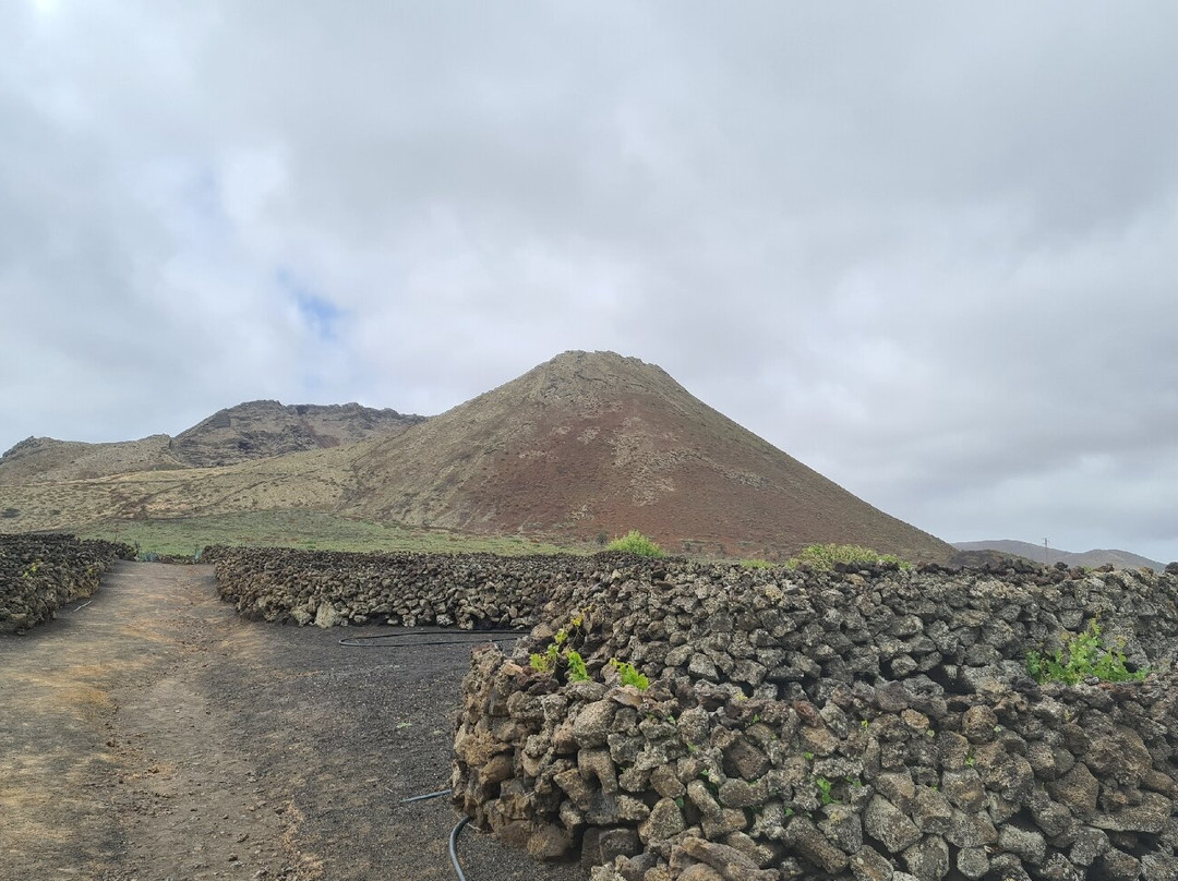Volcán de La Corona-Haria必去景点