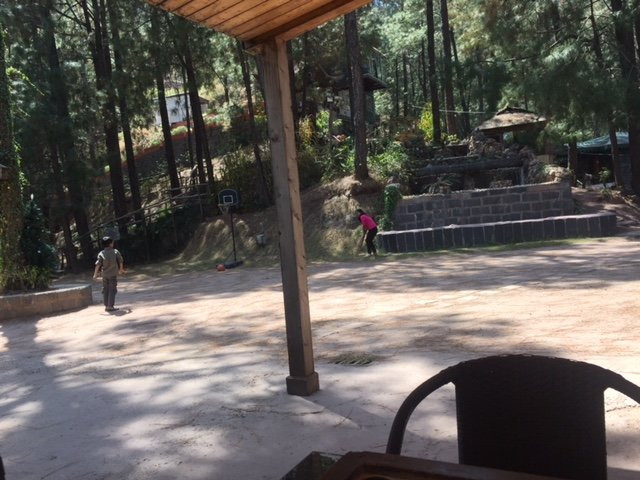 Kasauli Hills Resort主图